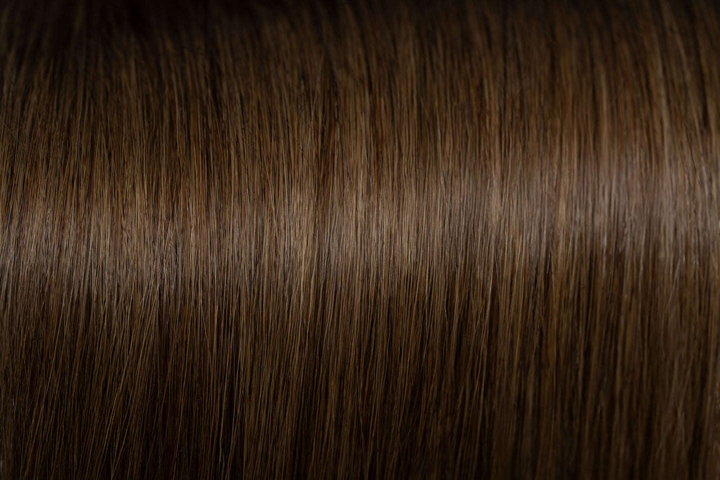 Tape in Extensions Dunkelblond Asch